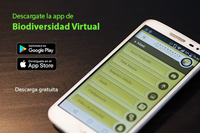  App BV Móvil
